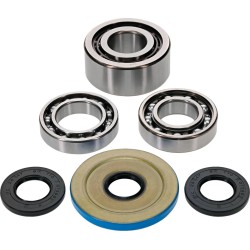 Differential Bearing Seal Kit