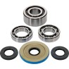 Differential Bearing Seal Kit