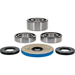 Differential Bearing Seal Kit