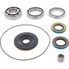 Differential Bearing Seal Kit