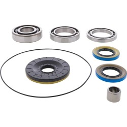 Differential Bearing Seal Kit