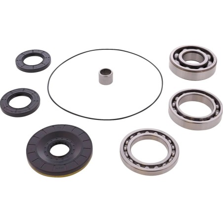 Differential Bearing Seal Kit