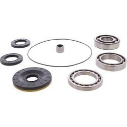 Differential Bearing Seal Kit
