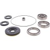 Differential Bearing Seal Kit