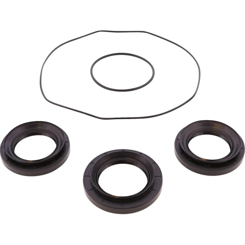 Differential Bearing Seal Kit