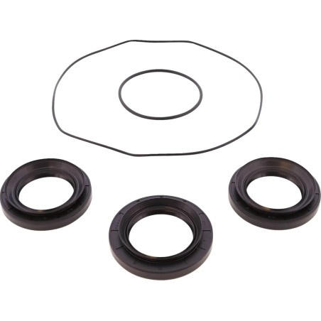 Differential Bearing Seal Kit