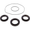 Differential Bearing Seal Kit