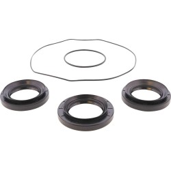 Differential Bearing Seal Kit