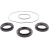 Differential Bearing Seal Kit