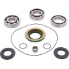 Differential Bearing Seal Kit