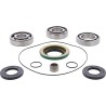 Differential Bearing Seal Kit