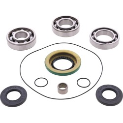 Differential Bearing Seal Kit