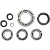 Bearing Seal Kit