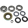 Bearing Seal Kit