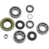 Differential Bearing Seal Kit