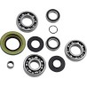 Differential Bearing Seal Kit