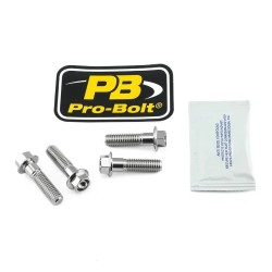 Stainless Steel Caliper Mount Bolt kit