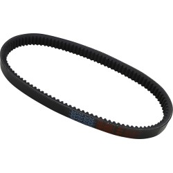 High Performance Belt