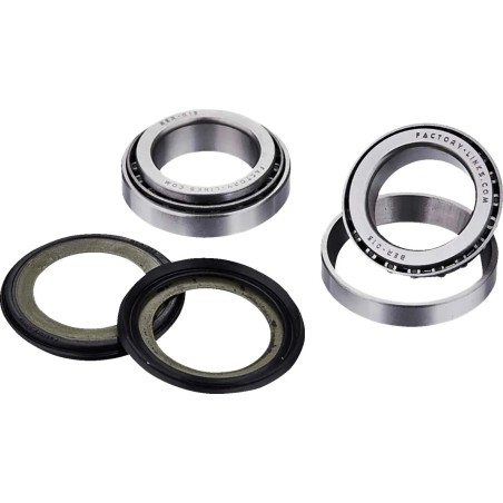 Steering Stem Bearing Kit
