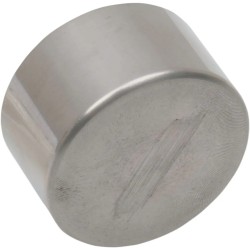 Four-Piston Differential-Bore Caliper Replacement Piston