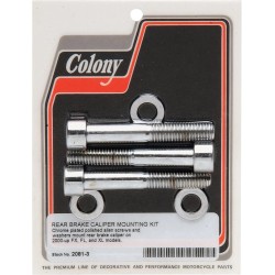 Rear Brake Caliper Bolt Kit