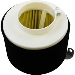 Replacement Air Filter