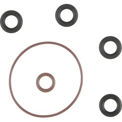 Induction Module O-Ring