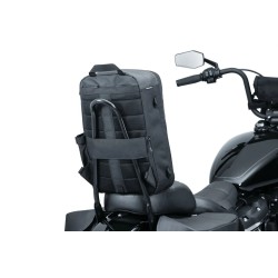 Momentum Runaway Backpack