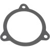 Replacement Back Plate Gasket