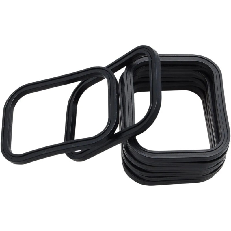 Rocker Gasket