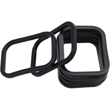 Rocker Gasket