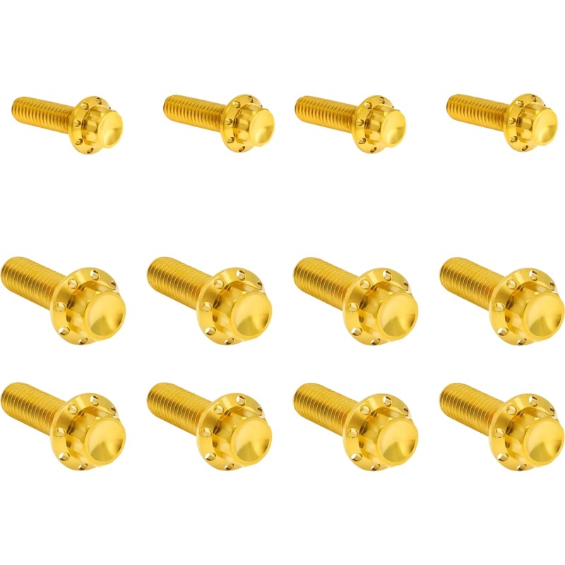 Transmission Side Cover   Trap Door Titanium 12-Point Bolt Kit