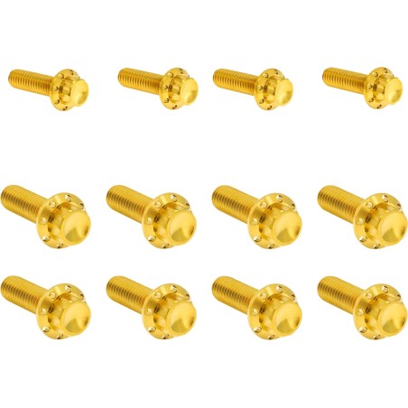 Transmission Side Cover   Trap Door Titanium 12-Point Bolt Kit