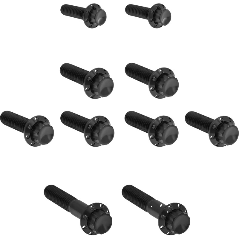 Transmission Side Cover   Trap Door Titanium 12-Point Bolt Kit