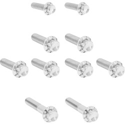 Transmission Side Cover   Trap Door Titanium 12-Point Bolt Kit