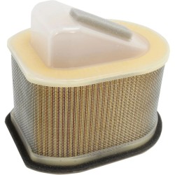 Replacement Air Filter