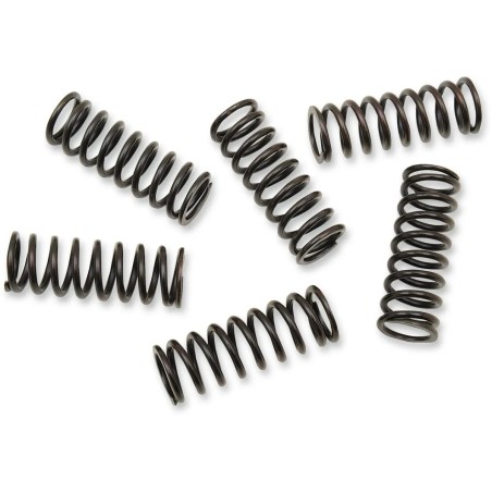 Clutch Spring Kit