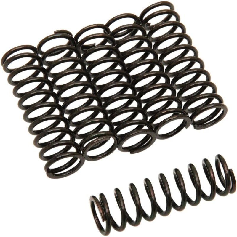Clutch Spring Kit