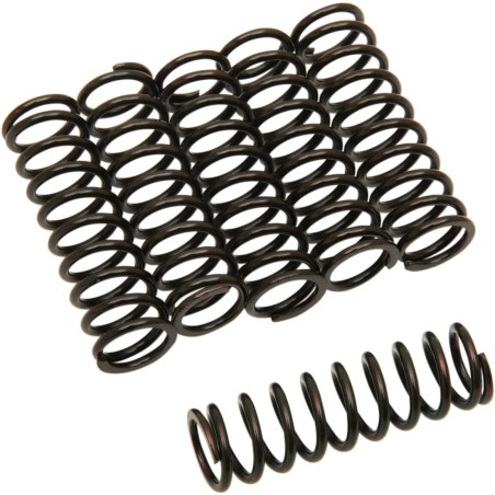 Clutch Spring Kit