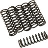 Clutch Spring Kit