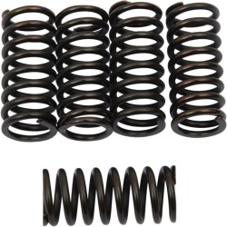 Clutch Spring Kit