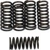 Clutch Spring Kit