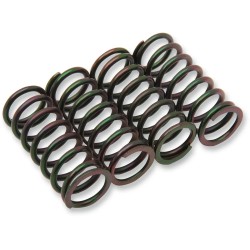 Clutch Spring Kit