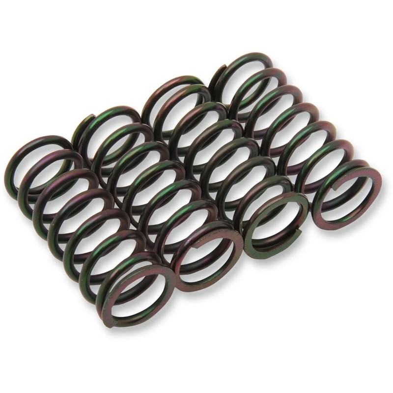 Clutch Spring Kit
