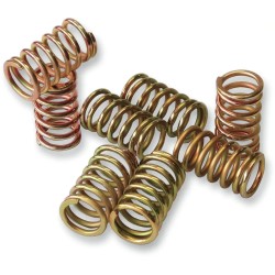 Clutch Spring Kit