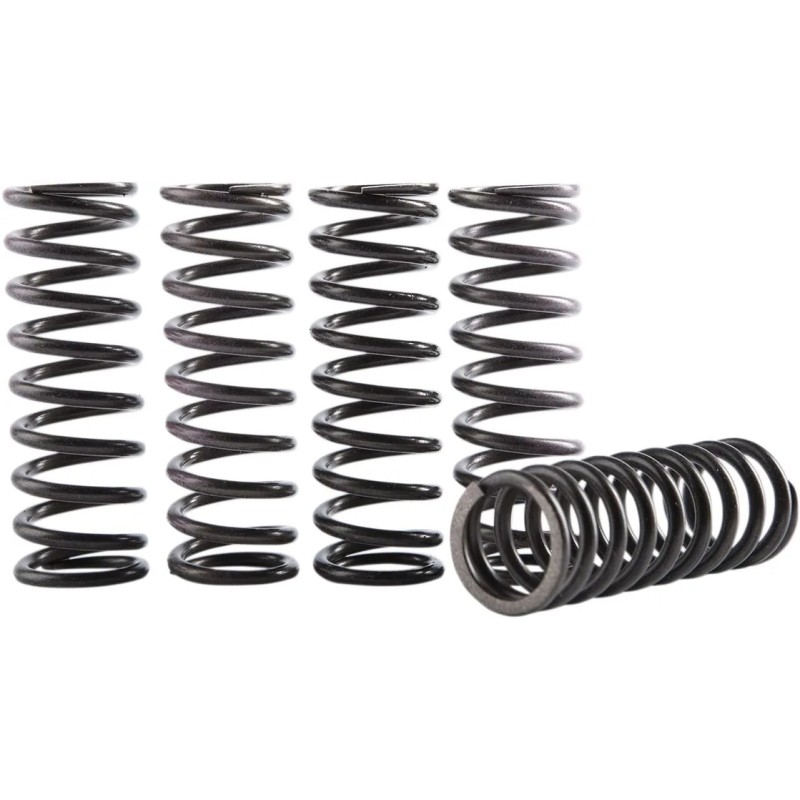 Clutch Spring Kit