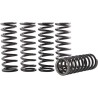 Clutch Spring Kit