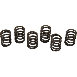 Clutch Spring Kit