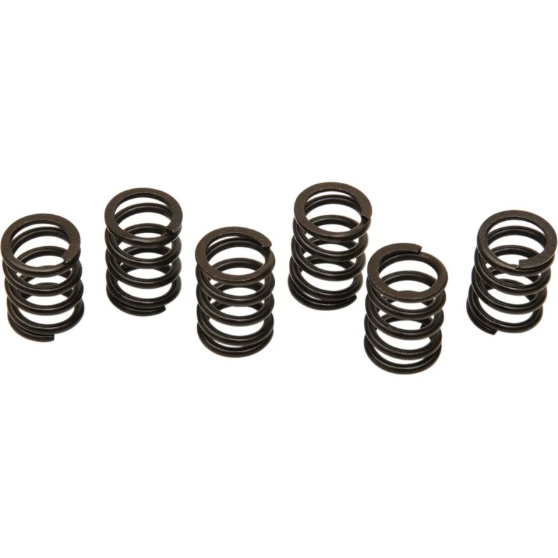 Clutch Spring Kit