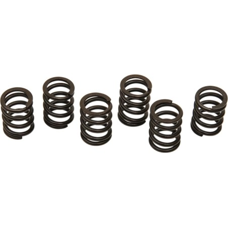 Clutch Spring Kit